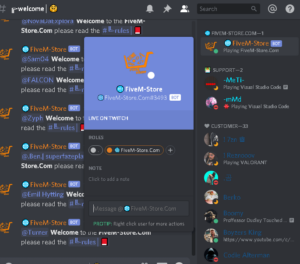 fivem discord bot keep track of your fivem server