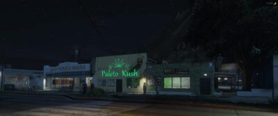 Kush Store MLO + PawnShop MLO + Electronics Shop MLO [Weed Store]