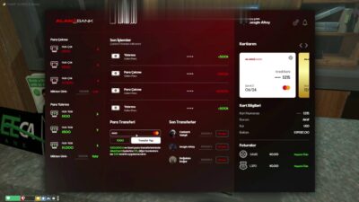 banking system v6 preview 2